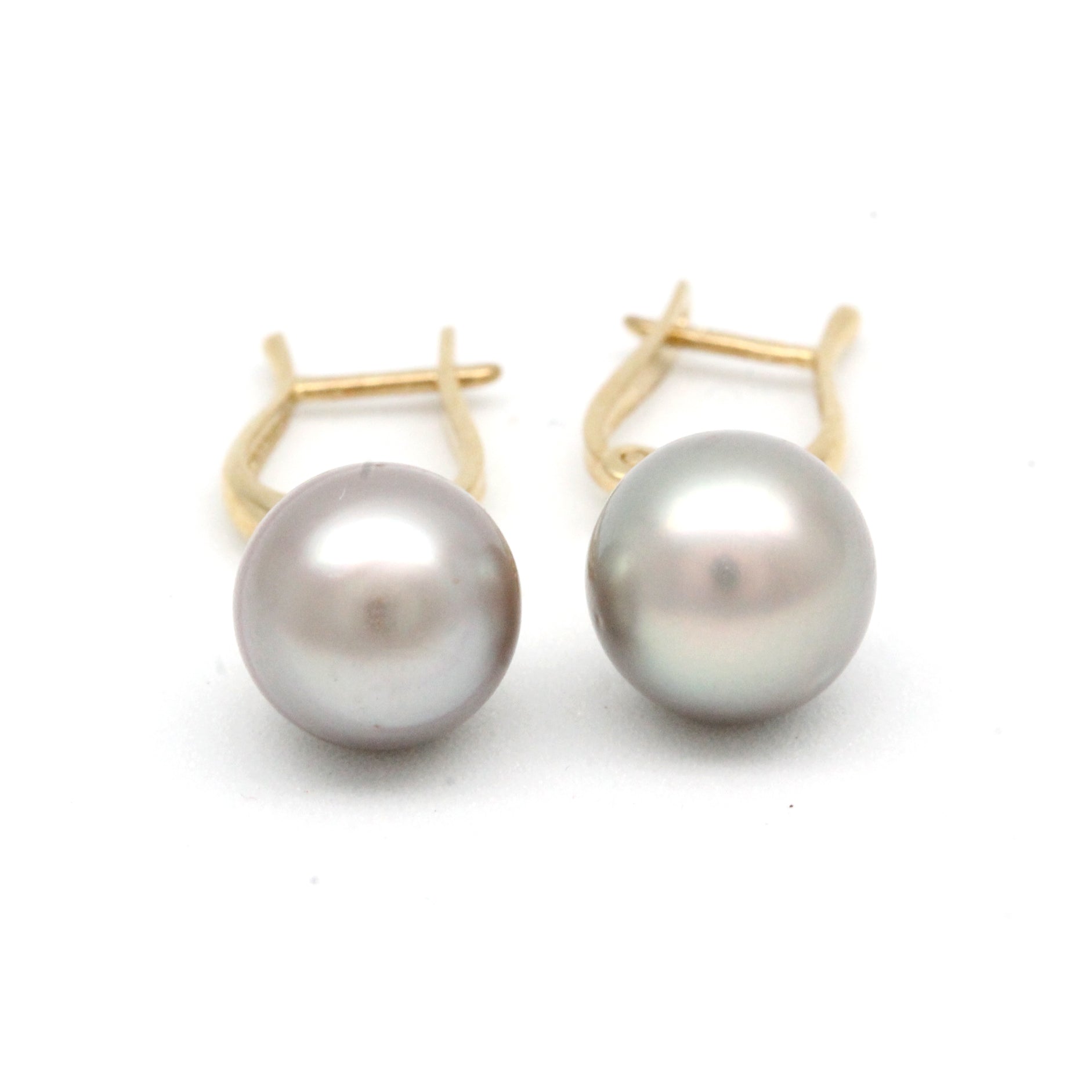 "Lyre" 14K Yellow Gold Earrings with Cortez Pearls