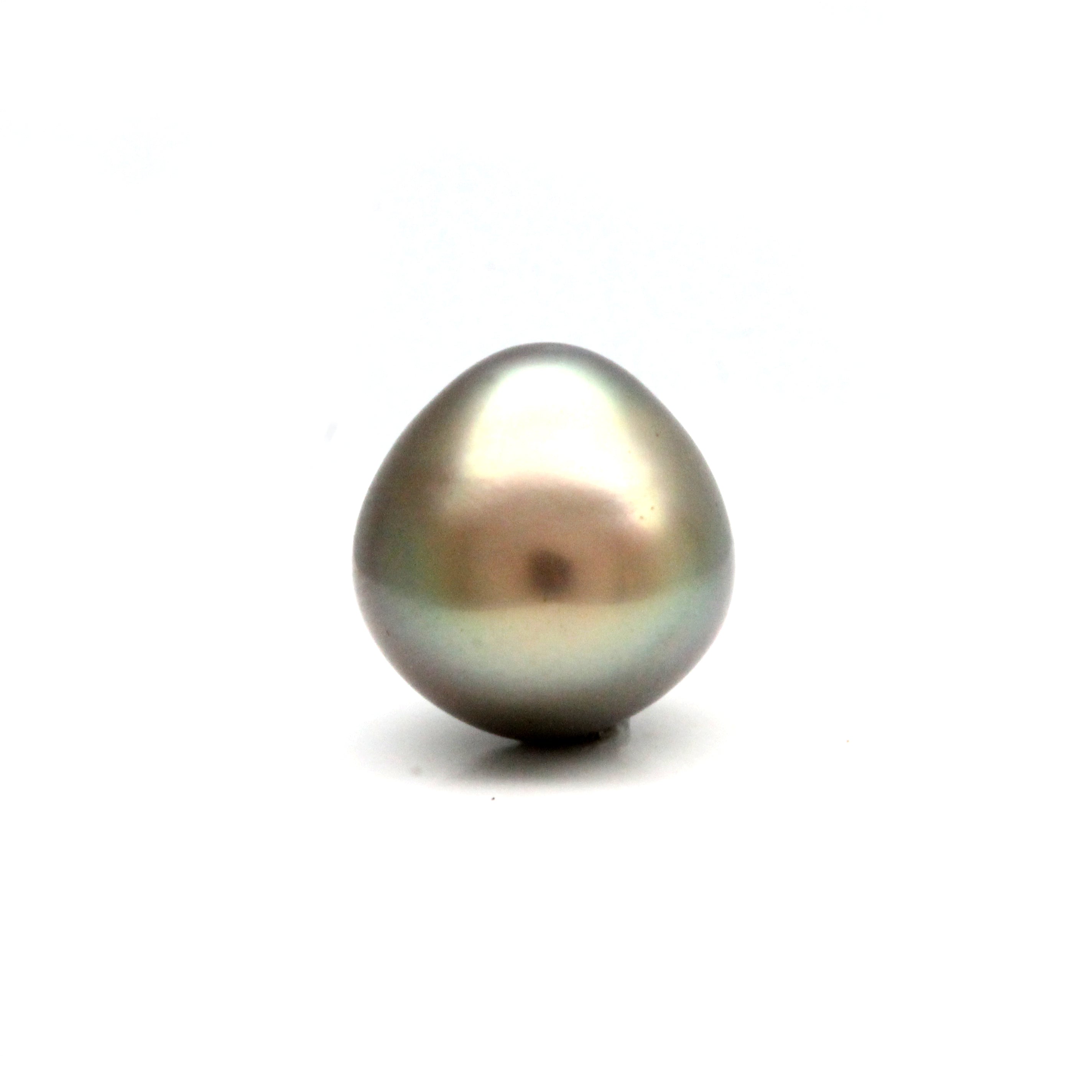 Drop 10.55 mm Cortez Pearl Harvest 2022 (P-10)