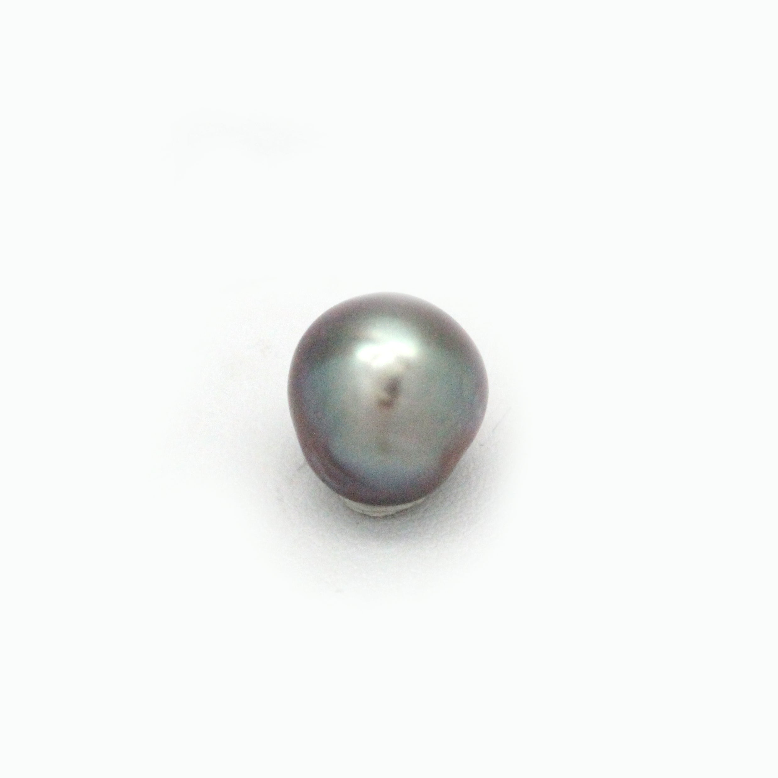 Drop (short) 10.7 x 11.3 mm Cortez Pearl (P-1)