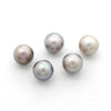 Lot of 5 Loose Cortez Pearls from 2019 HARVEST