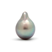 Loose Cortez Pearls - Perlas Mexicanas de Cultivo – tagged